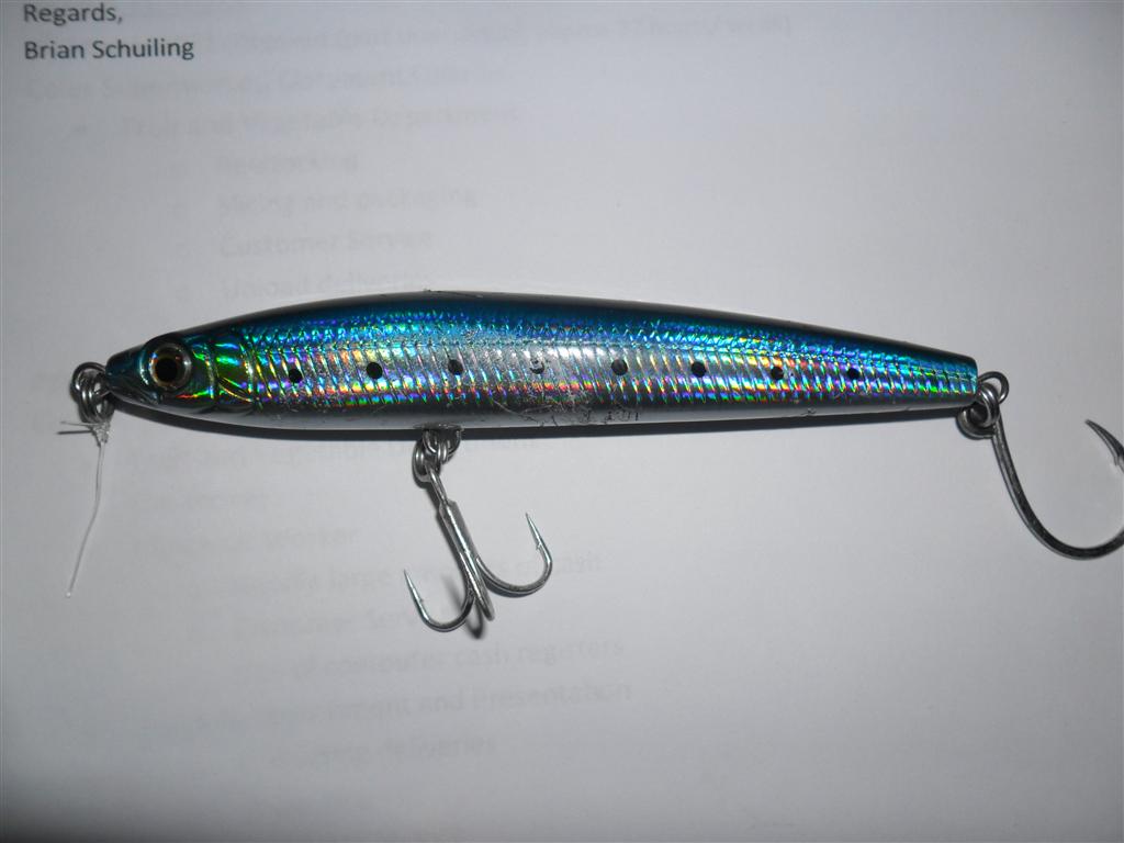 metro tailor sesh Fishing Fishing WA. Fishing